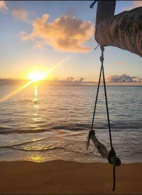 Breezy Beachfront Bali-Style Haven 180 Degree Oceanview Hau'ula Exteriér fotografie