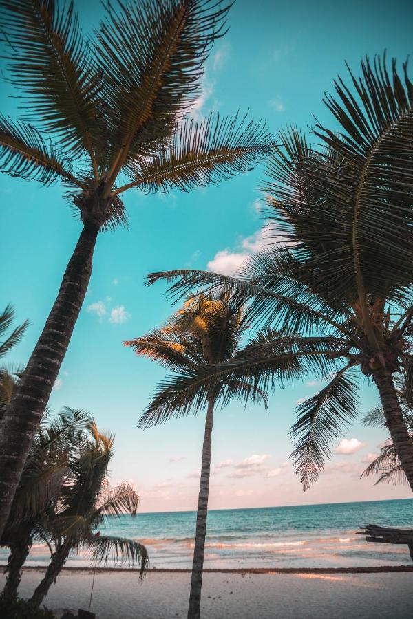 Breezy Beachfront Bali-Style Haven 180 Degree Oceanview Hau'ula Exteriér fotografie