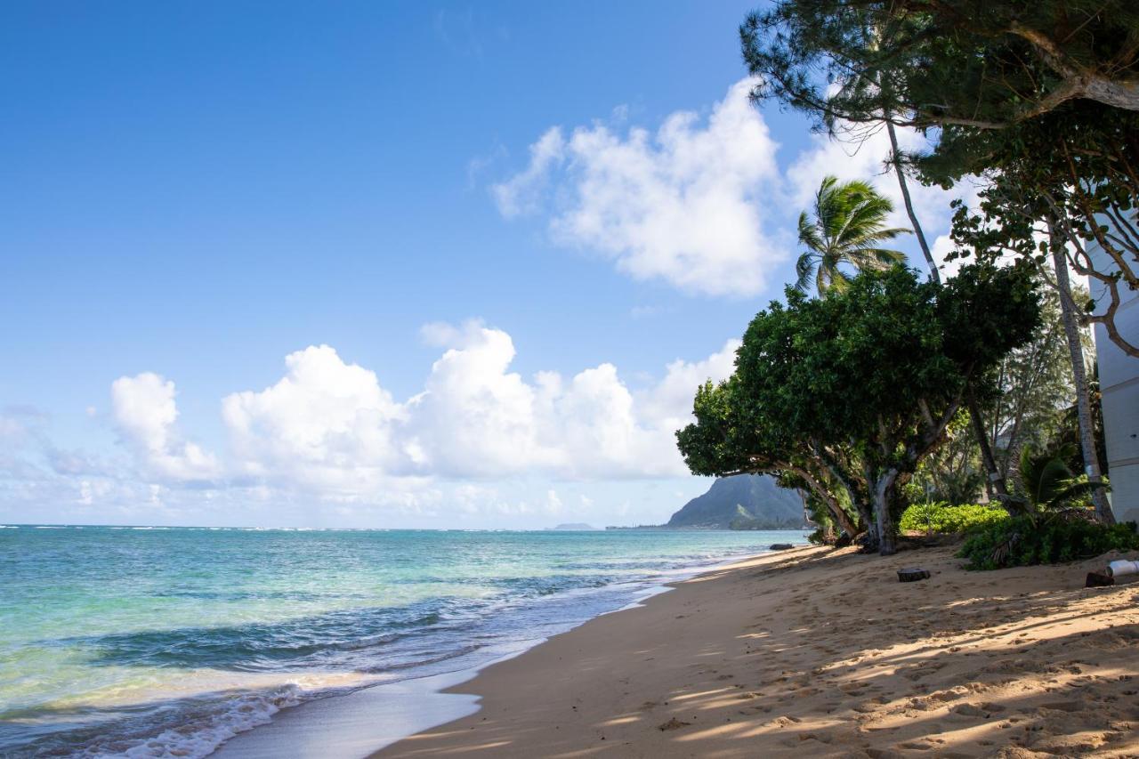 Breezy Beachfront Bali-Style Haven 180 Degree Oceanview Hau'ula Exteriér fotografie